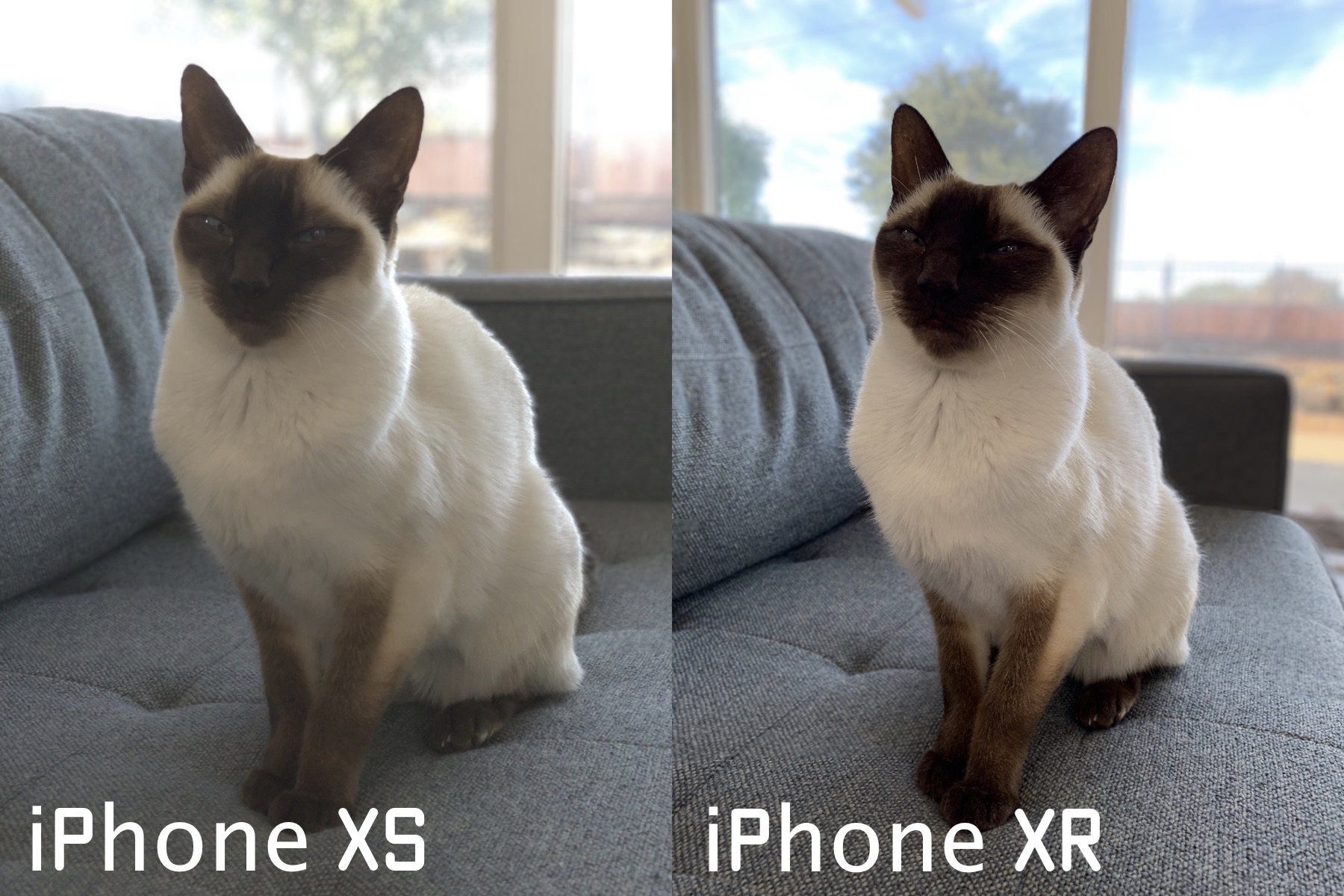 Le mode portrait de l’iPhone XR est plus complet en façade iGeneration