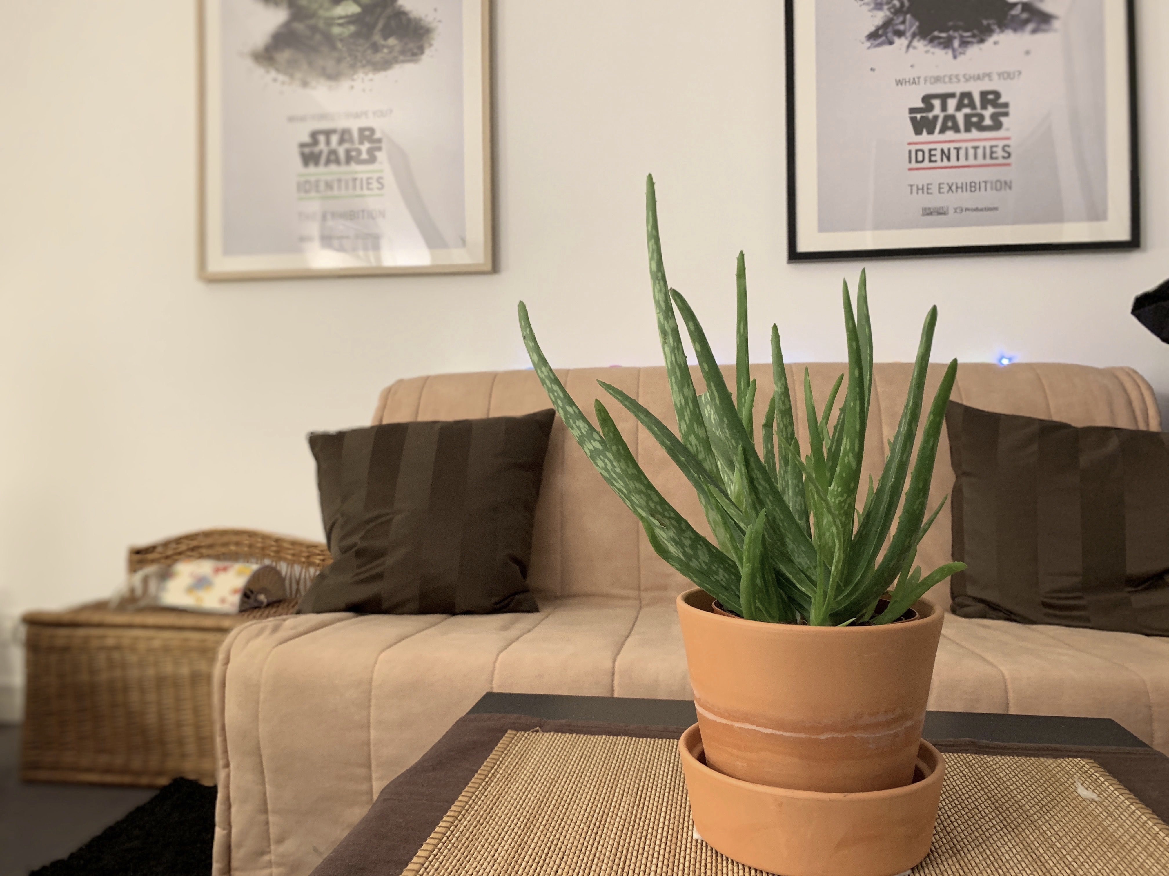 Halide complète le mode portrait de l’iPhone XR iGeneration