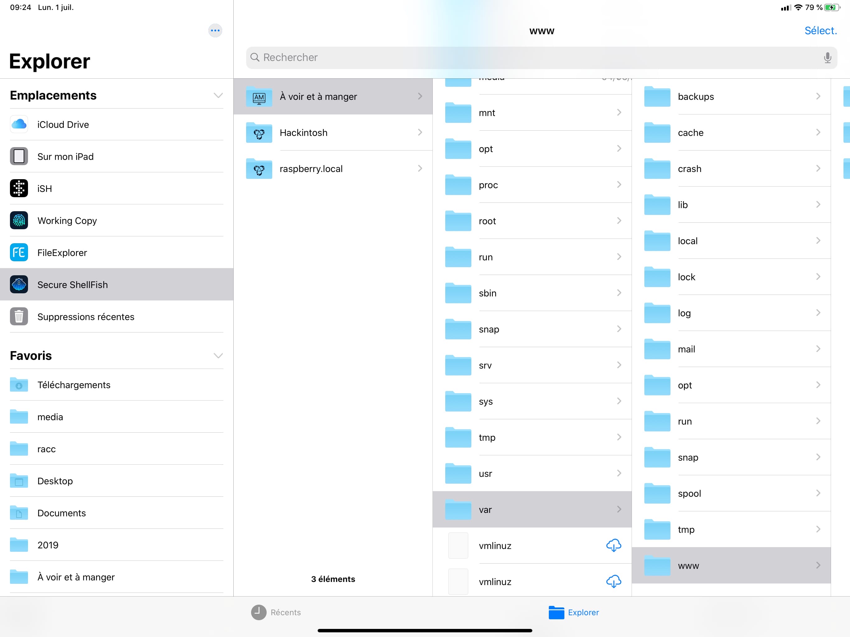 Secure ShellFish intègre les serveurs distants dans l’app Fichiers ...