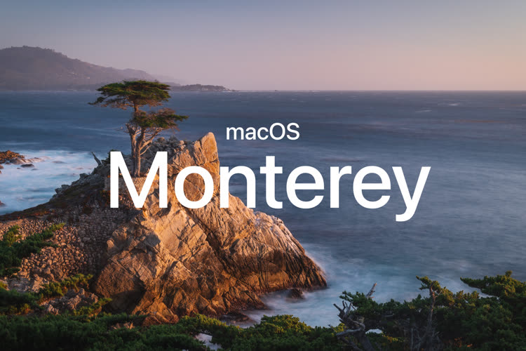 osx monterey