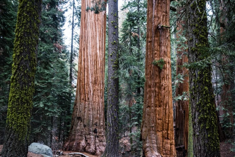 Les nouveautés de macOS Sequoia à ne pas rater