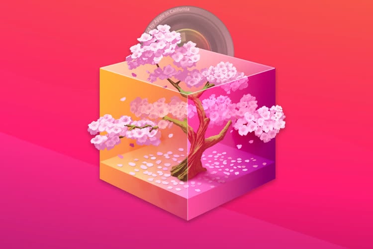 Musebox, un catalogueur de photos qui marche dans les pas d’Aperture