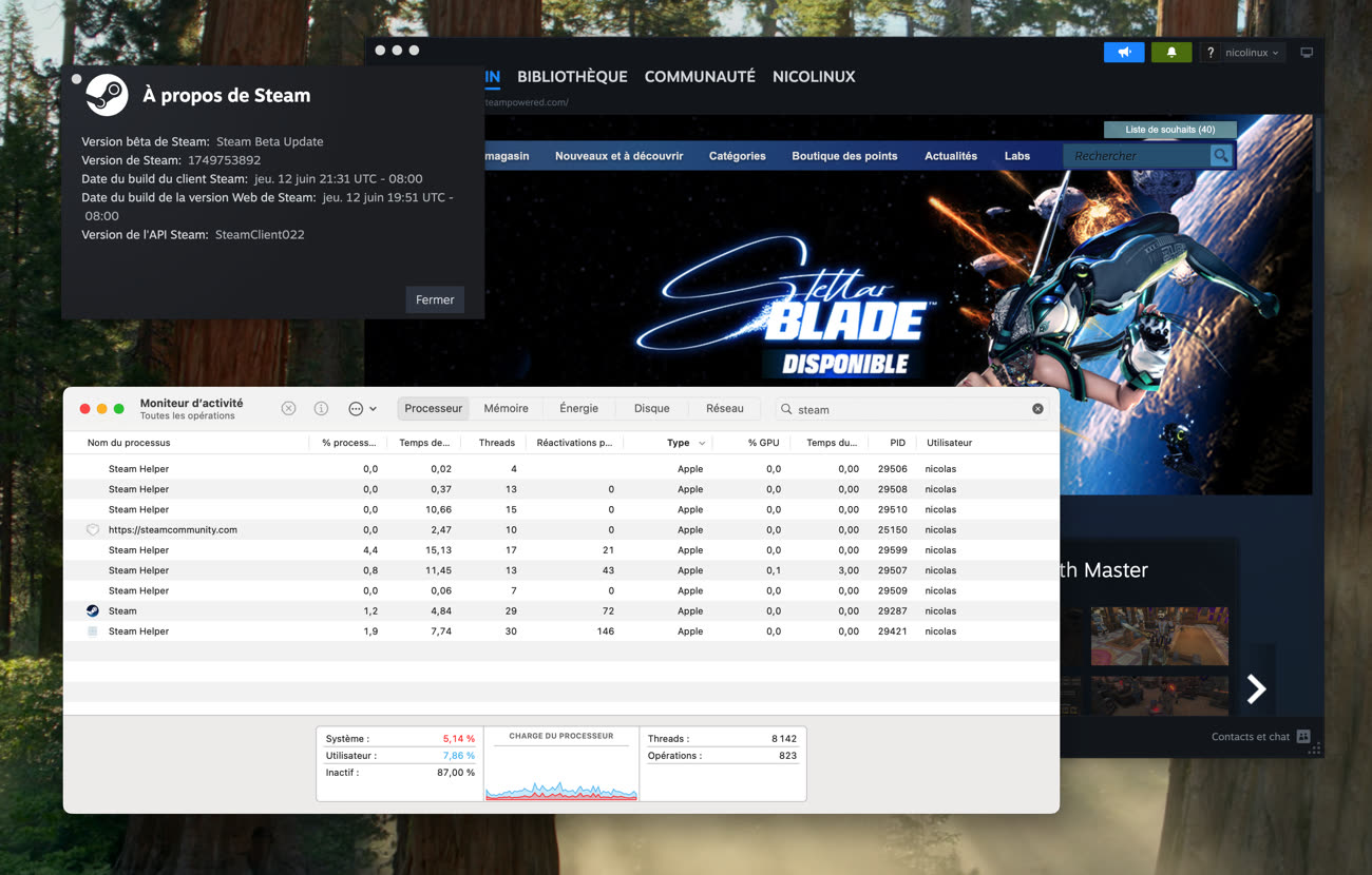 La bêta de Steam, optimisée pour les puces Apple Silicon : tout arrive ! Image MacGeneration.