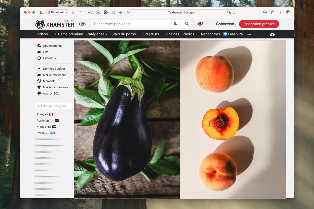 Pour l’heure, Xhamster est librement accessible depuis la France, mais cela changera sûrement d’ici quelques semaines. Image MacGeneration, photos [Maja Vujic](https://unsplash.com/fr/photos/une-aubergine-sur-une-surface-en-bois-avec-des-feuilles-2QcrIXn98PM) et [Vlad Deep](https://unsplash.com/fr/photos/2-peches-rouges-et-jaunes-dAjYxJrcdd8) sur Unsplash.