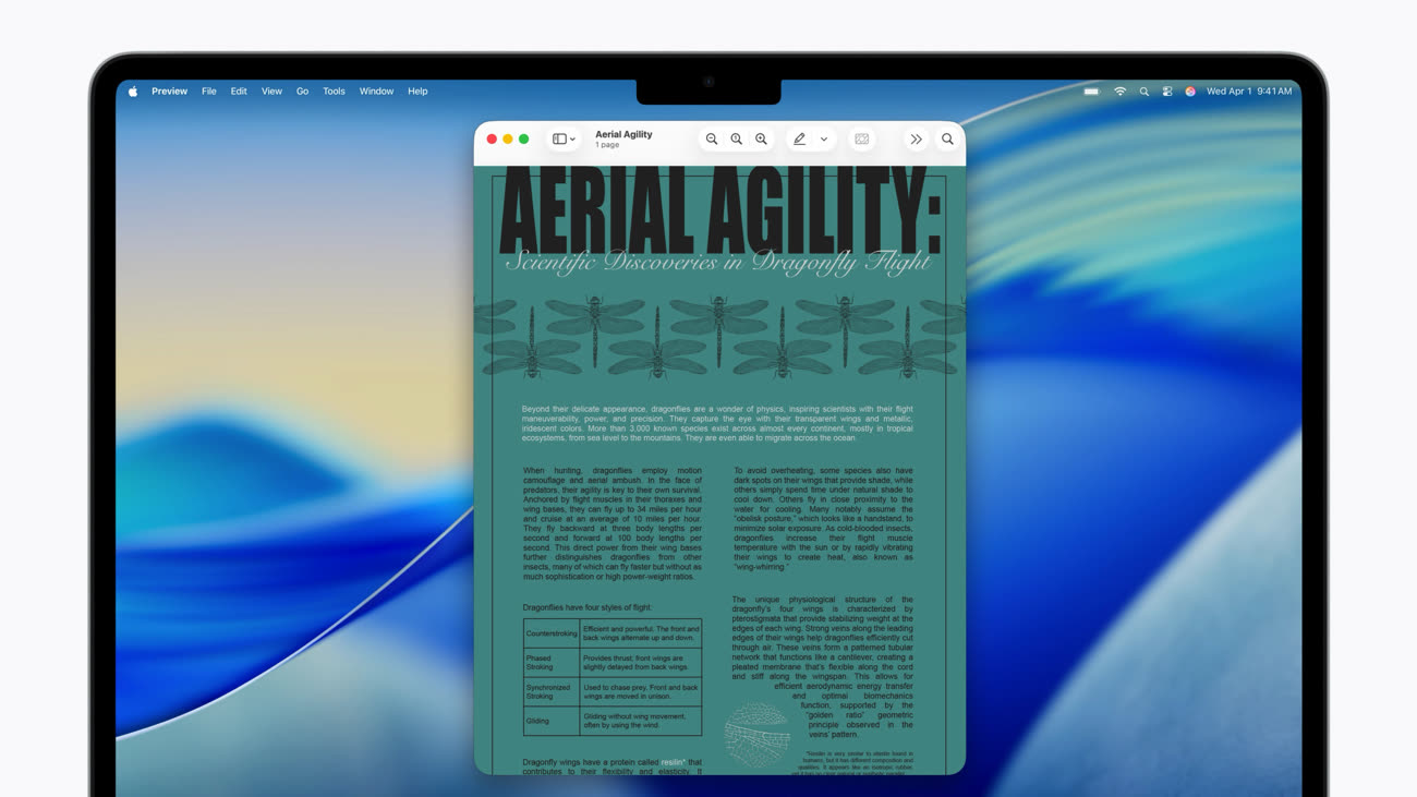 Le PDF original… Image Apple.