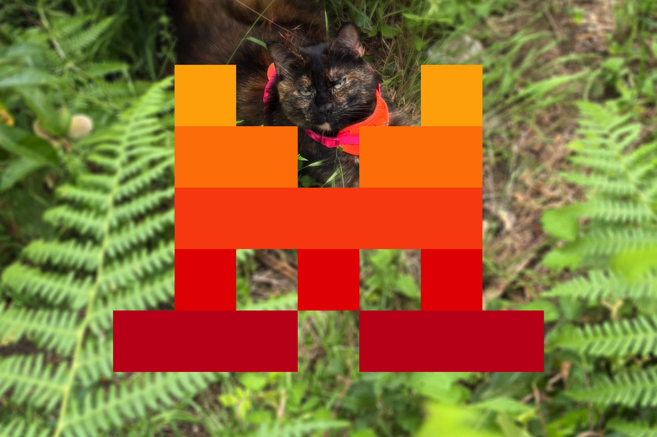 L’avis de mon chat sur le changement de nom. Image MacGeneration.