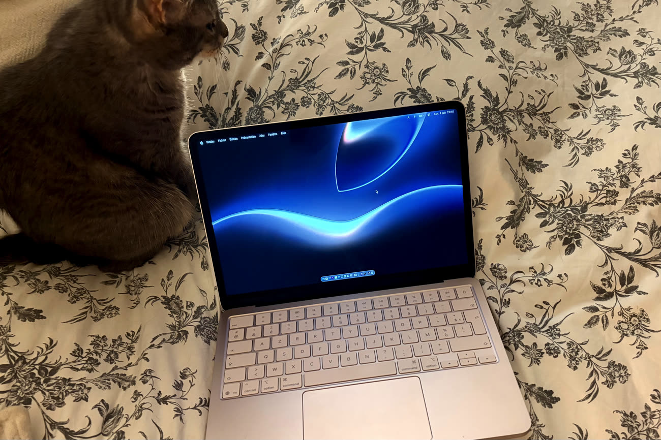Matcha n’était pas aussi impressionnée que moi par ce fond d’écran spécial WWDC26 (qui est aussi très difficile à prendre en photo, il n’est pas aussi bleuté en vrai). Image MacGeneration.