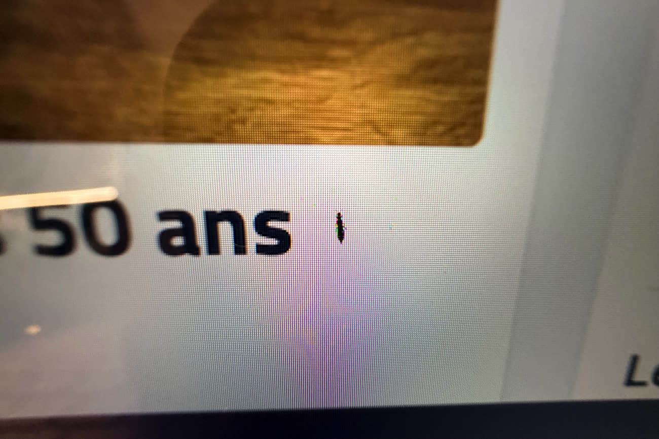 … a des pattes ! 🙀 C’est en réalité un insecte bloqué entre la dalle LCD et la plaque de verre. Image MacGeneration.