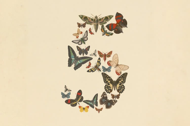 image accroche